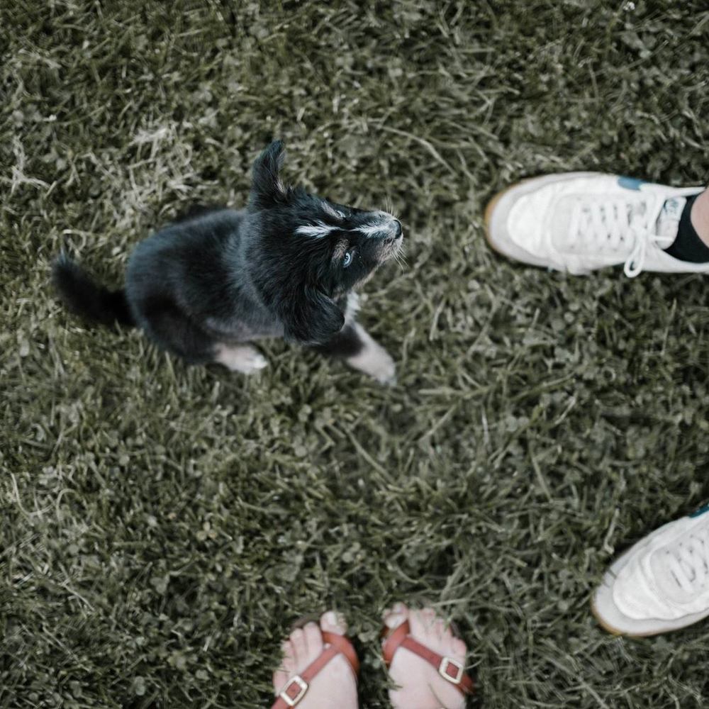 Meet your Posher, Kristin